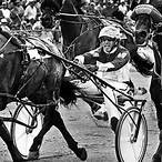 bet harness racing online